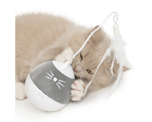 Katt leker med interaktiv kattleksak från Catit med fjäder