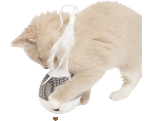 Katt leker med foderboll och fjäderleksak