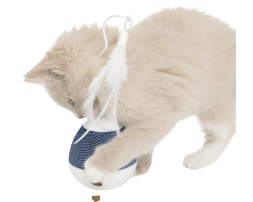 Katt leker med interaktiv kattleksak med fjäder