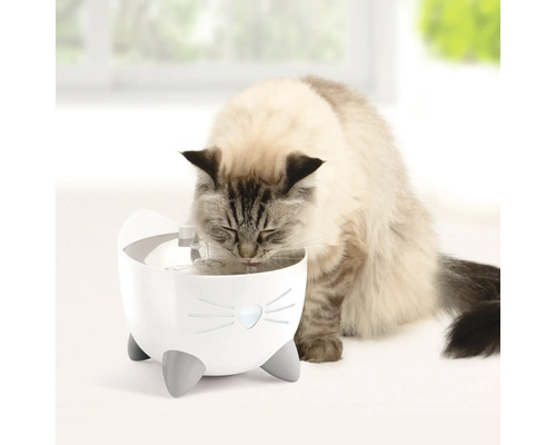 Katt dricker från en vattenfontän för katter i kattdesign