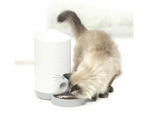 Katt äter torrfoder från en foderautomat