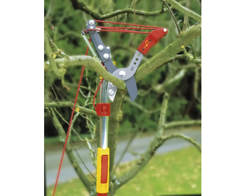 Grensåg för beskärning av trädgrenar