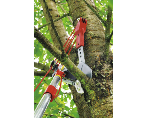 Grensåg som används i ett träd