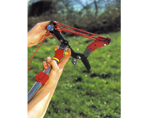 En person använder en grensax med draglina i trädgården.