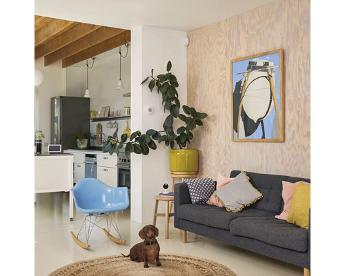 Ljust vardagsrum med soffa, fåtölj och tax på en rund matta