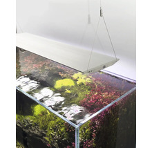 Akvarium med växter och belysning