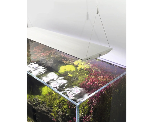 Akvarium med växter och belysning