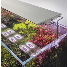 Akvarium med LED-belysning och vattenväxter