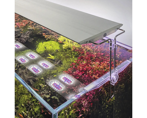 Akvarium med LED-belysning och vattenväxter