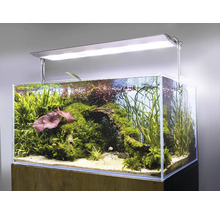 Akvarium med växter, rötter och belysning