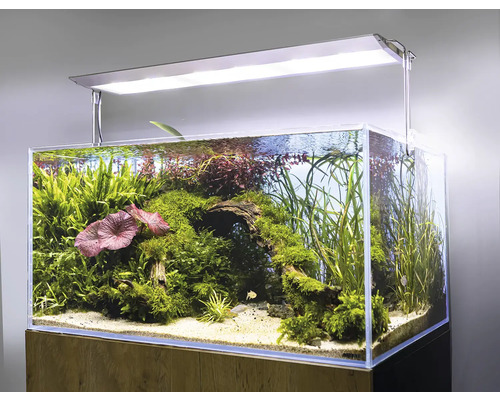 Akvarium med växter, rötter och belysning