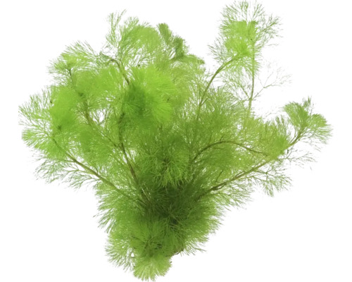 Konstgjord vattenväxt för akvarier