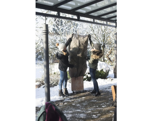 Två personer packar in en växt med ett skyddande överdrag för vintern