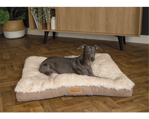 Hund ligger på en hundsäng av märket Scruffs