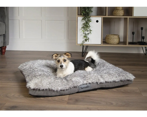 Hund ligger på en grå, rektangulär hundsäng från Scruffs i ett ljust rum.