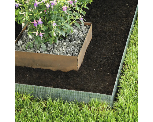 Trädgårdsscen med gräsmatta, växt och stenar