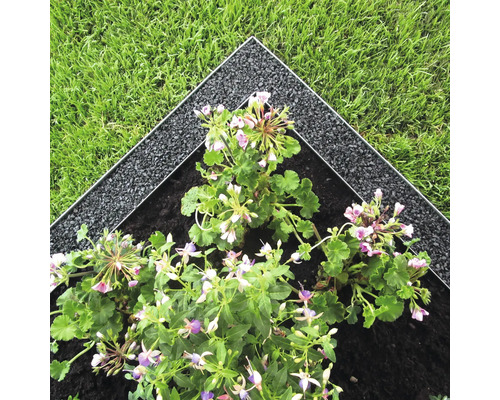 Rabattkant med blomsterrabatt och gräsmatta