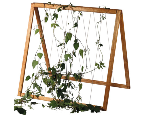 Fristående spaljé i trä med klätterväxt