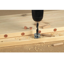 WOLFCRAFT Markeringsstift för plugg Ø 10 mm 4-pack