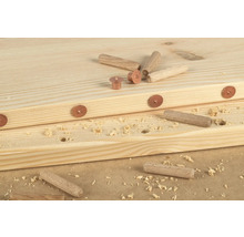 WOLFCRAFT Markeringsstift för plugg Ø 10 mm 4-pack