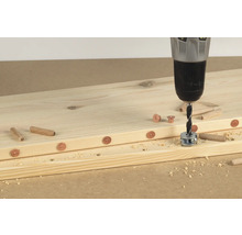 WOLFCRAFT Markeringsstift för plugg Ø 10 mm 4-pack