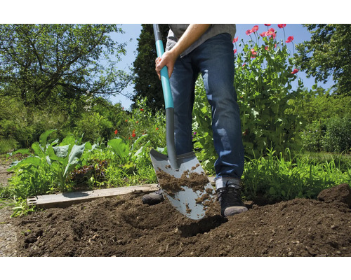 Trädgårdsarbete med en spade i trädgården.