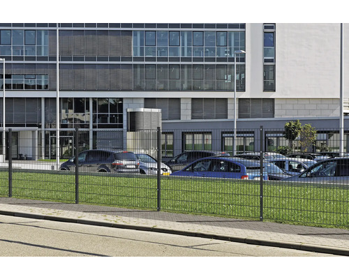 Dubbeltrådsstängsel framför en kontorsbyggnad och en parkeringsplats.