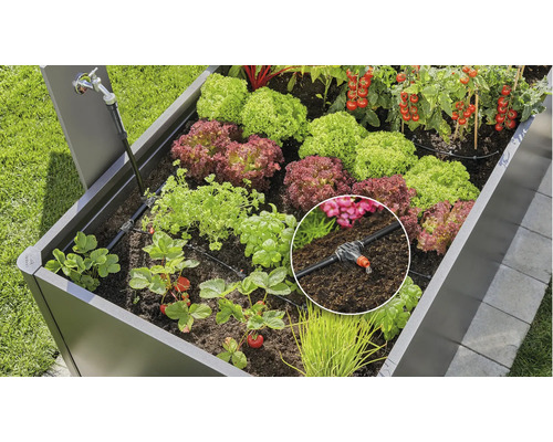 Pallkrage med bevattningssystem och olika växter