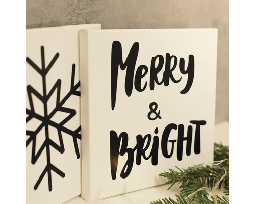 Två canvastavlor med snöflinga och texten Merry & Bright