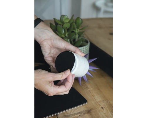 Dekorativ blomkruka med filtkuddar placerad på en bordsyta.