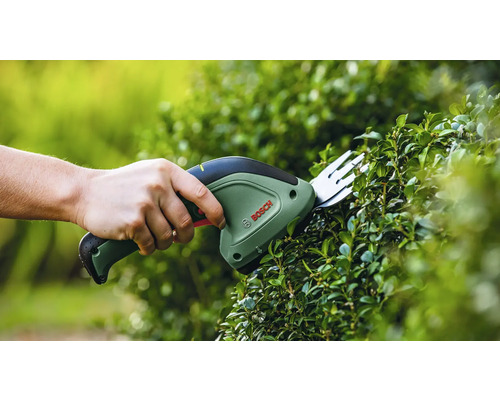 Person klipper en häck med en Bosch busksax.