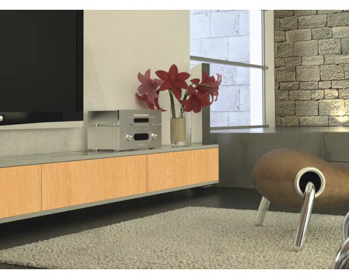 Vardagsrum med TV, låg skänk, krukväxt och fåtölj