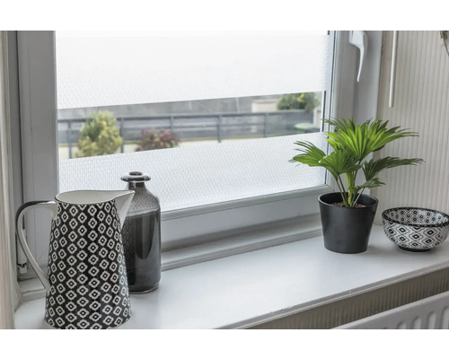 Dekorativ folie på ett fönster med kaffekanna, flaska, krukväxt och skål på en fönsterbräda