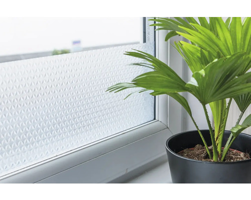 Fönster med insynsskyddsfilm och krukväxt