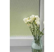 Fönster med insynsskyddsfilm och vas med blommor