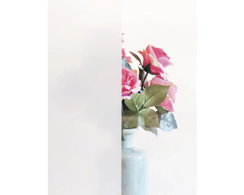 Insynsskyddsfilm med blommor i bakgrunden
