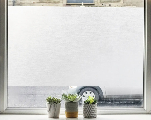 Fönster med frostad glasfilm och krukväxter på fönsterbrädan