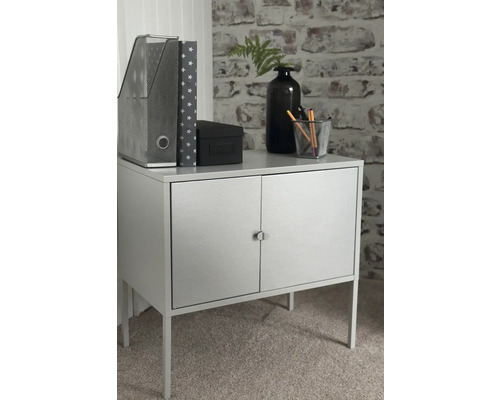 Skåp med två dörrar, förvaringsfack, låda och dekoration