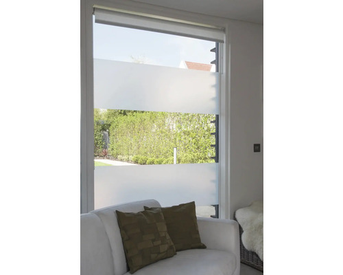 Fönster med frostat glasfilm för insynsskydd och dagsljus