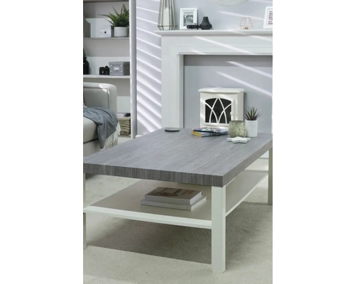 Vardagsrum med soffa, hylla, öppen spis och soffbord med hylla