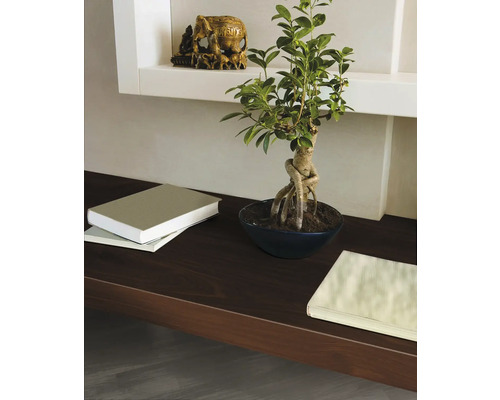 Dekorativ hylla med bonsai, böcker och elefantstaty för inredningsdesign.