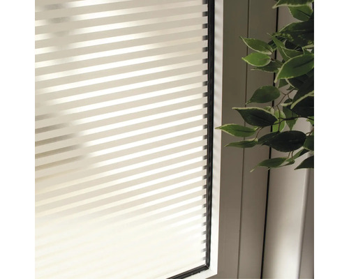 Fönster med randig insynsskyddsfilm