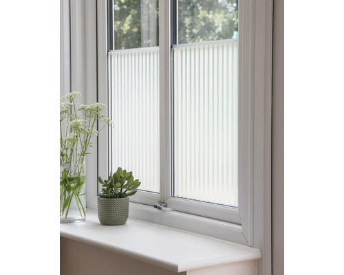 Fönster med plisségardiner, krukväxt och blommor på fönsterbrädan