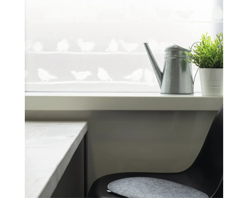 Dekorativt fönster med fågelmotiv, vattenkanna och växt i ett ljust rum.