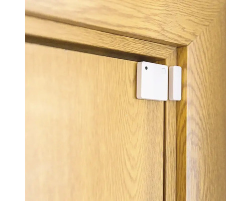 Dörr med monterad dörr- och fönsterkontakt