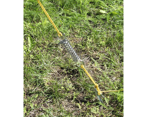 Tältfjäder med markpinne och tältlina i gräset