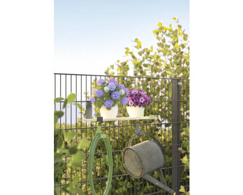 Trädgårdsstaket med blommor, trädgårdsslang och vattenkanna