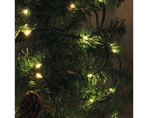 Julgran med varmvit ljusslinga och tallkotte