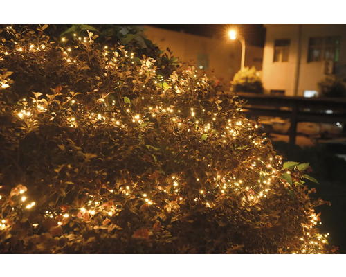Dekorativ buske med ljusslinga utomhus