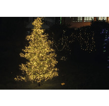 Upplyst julgran utomhus